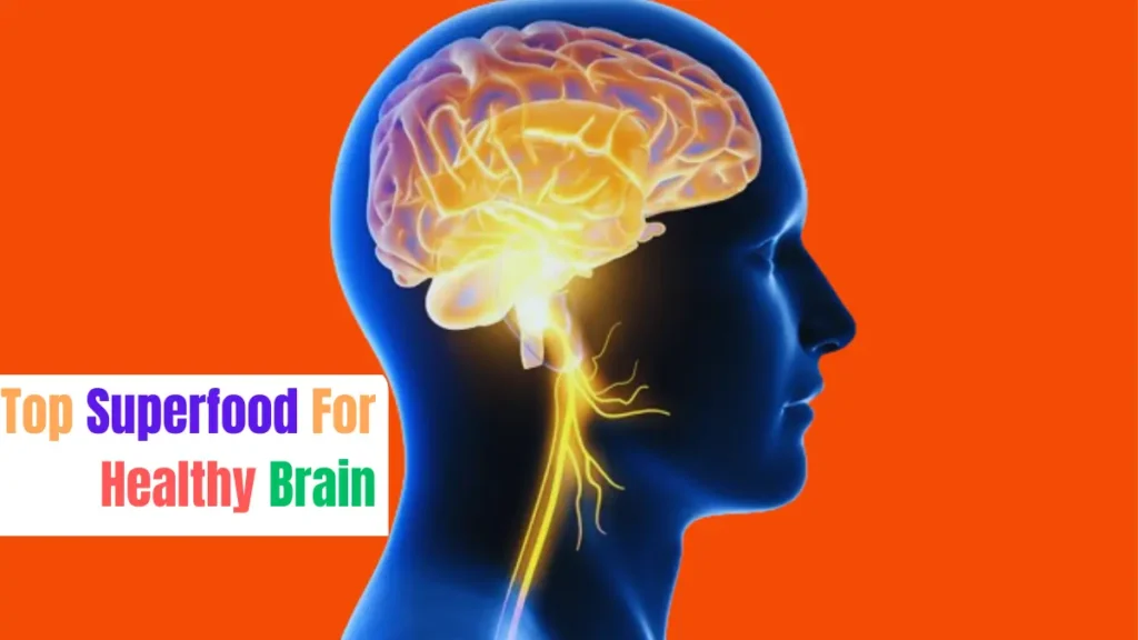 Top 5 Best Superfoods For a Healthy Brain