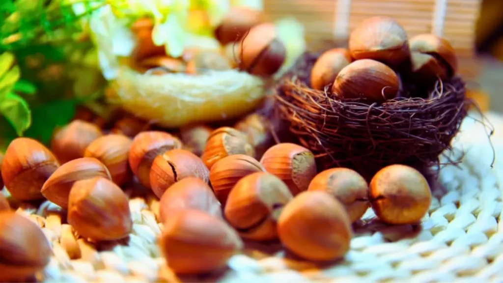 10 Natural Protein foods to eat daily 10 Natural Protein foods to eat daily