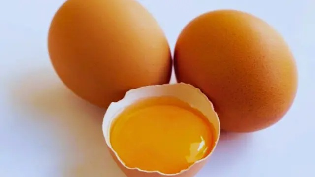 egg yolk